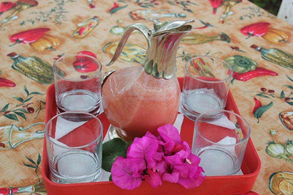 Hare Pakoba Guest House Hanga Roa Ngoại thất bức ảnh