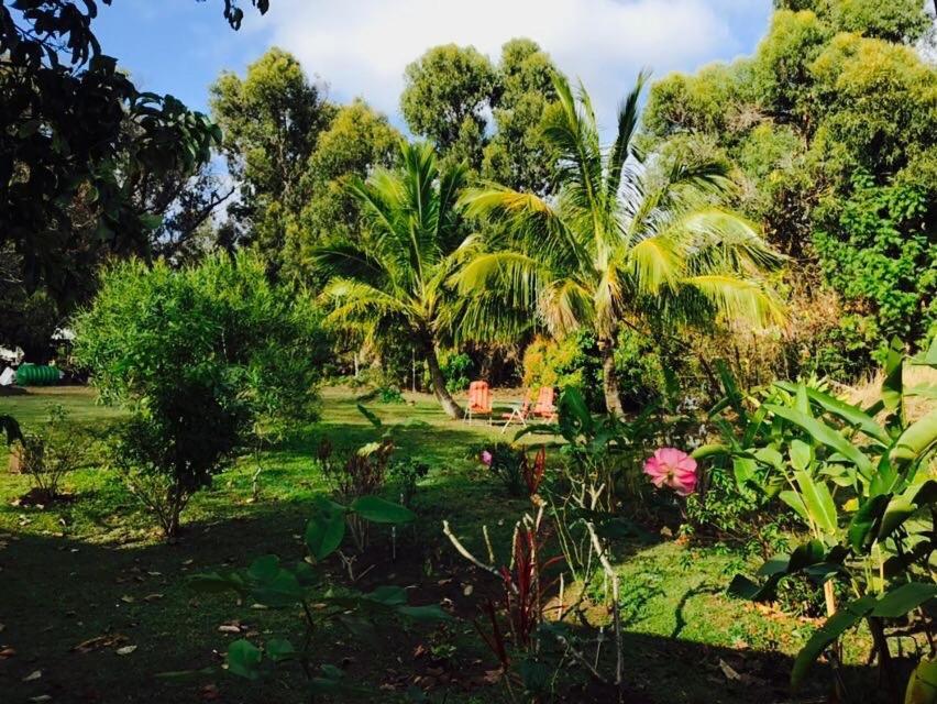 Hare Pakoba Guest House Hanga Roa Ngoại thất bức ảnh